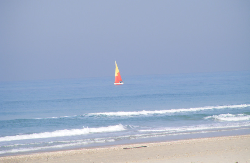  Olga Beach (credit: Wikimedia Commons)