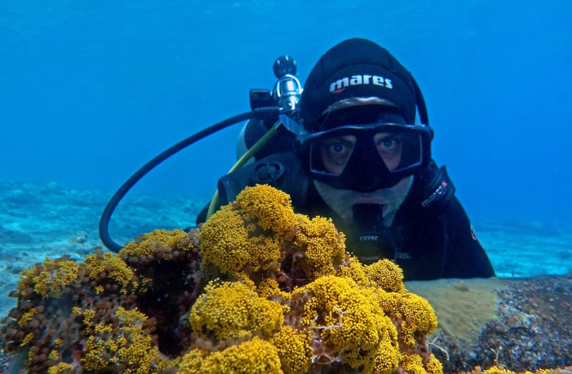  A scuba diver poses with coral reefs found in Eilat, Israel (photo credit: JESSICA BELLWORTHY)