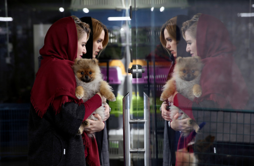  An Iranian woman holds a dog as she visits the Pallapet boarding house at Palladium shopping mall in Tehran (photo credit: REUTERS)
