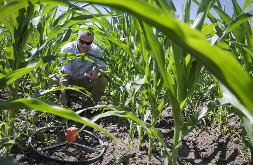 Caterpillars are destroying Missouri fields. Pheromones might stop them - Vimarsana News