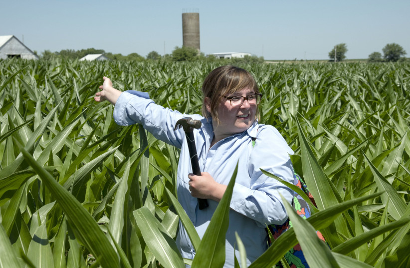  Kelsey Benthall raises her hand to indicate her position in a corn row, at a farm near Arrow Rock, Missouri, on June 29, 2022. (credit: GABE BARNARD/ST. LOUIS POST-DISPATCH/TNS)