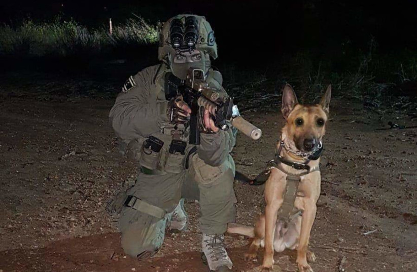  Zili, the Counterterrorism Unit dog that was killed in Nablus on August 9. (photo credit: ISRAEL POLICE SPOKESPERSON'S UNIT)