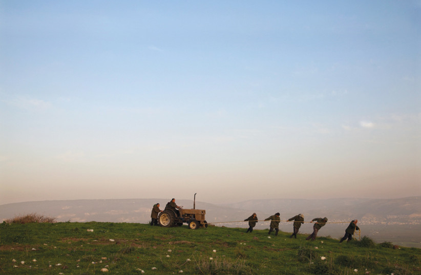 Haifa Museum of Art new exhibits explore physical and social interfaces - Vimarsana News