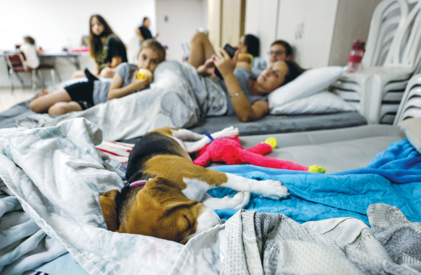  Israelis with their dog seek safety in a bomb shelter during rocket attacks from Gaza on Ashkelon on August 7 (photo credit: AMIR COHEN/REUTERS)
