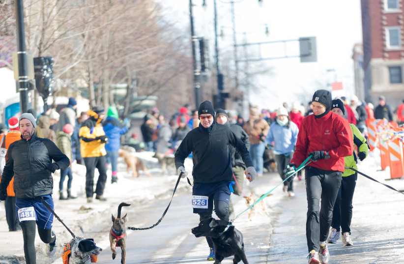  People run race with dogs alongside them. (credit: FLICKR)