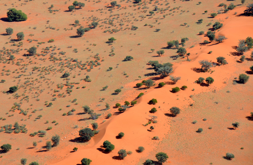 Kalahari Desert (photo credit: OLGA ERNST & HP. BAUMELER/CC BY-SA 4.0 (https://creativecommons.org/licenses/by-sa/4.0)/WIKIMEDIA)