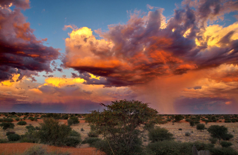 Kalahari Desert (photo credit: HP. BAUMELER/CC BY-SA 4.0 (https://creativecommons.org/licenses/by-sa/4.0)/VIA WIKIMEDIA COMMONS)