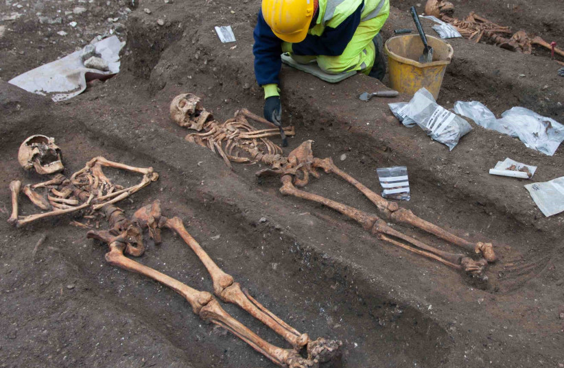  Archaeologists from the Cambridge Archaeological Unit excavate the remains of friars buried in the grounds of the former Augustinian friary in central Cambridge. (credit: CAMBRIDGE ARCHEOLOGICAL UNIT)
