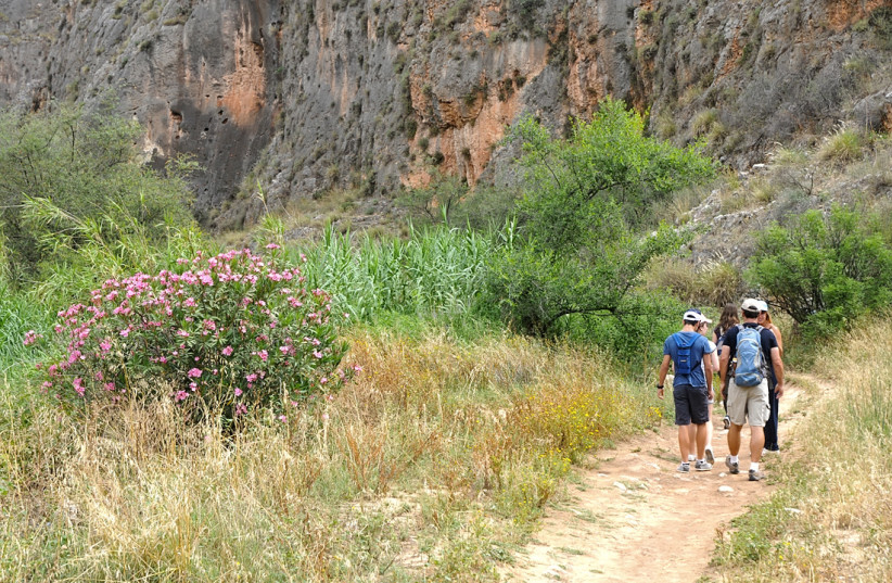  For a satisfying short trail, choose the lower Nahal Amud (pillar stream) trail, which is often overlooked by the majority of local hikers (photo credit: ITSIK MAROM)