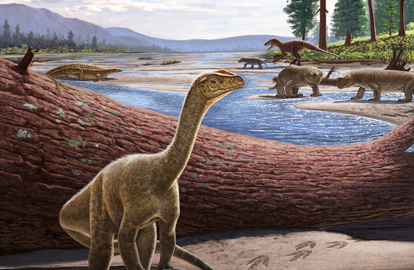 Artistic reconstruction of Mbiresaurus raathi (foreground) with the rest of the Zimbabwean animal assemblage in the background, including two rhynchosaurs (front right), an aetosaur (left), and a herrerasaurid dinosaur chasing a cynodont (back right). (photo credit: ANDREY ATUCHIN)