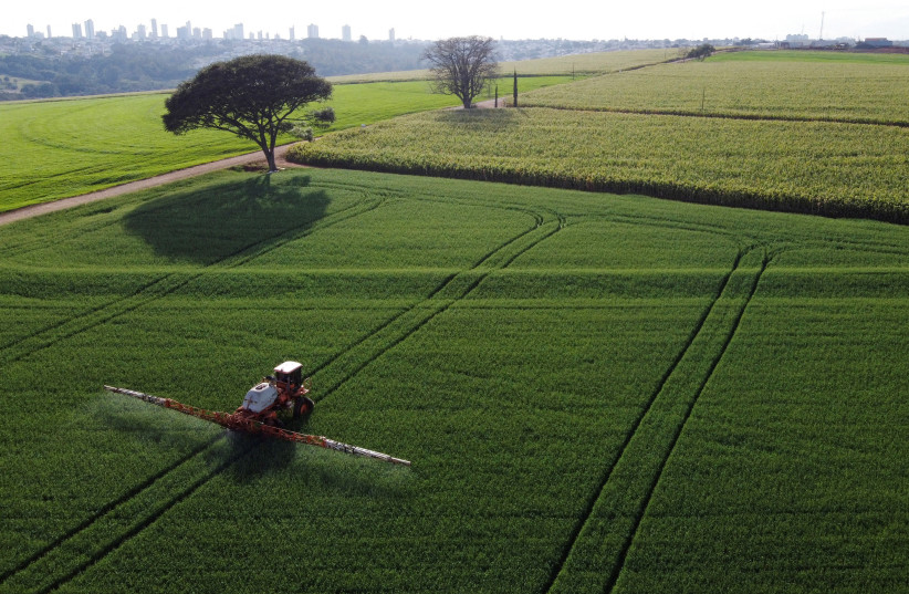  A tractor sprays pesticides on wheat crops to be harvested this year, in Arapongas, Brazil (photo credit: REUTERS)