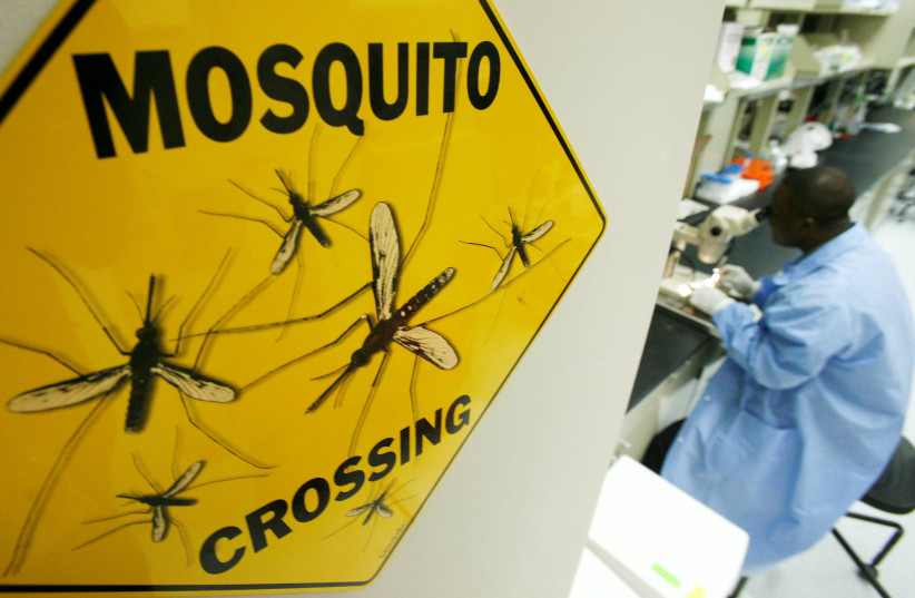  Worker Solomon Conteh dissects a mosquito at Sanaria Inc. facility in Rockville, Maryland, October 26, 2007. (photo credit: REUTERS)