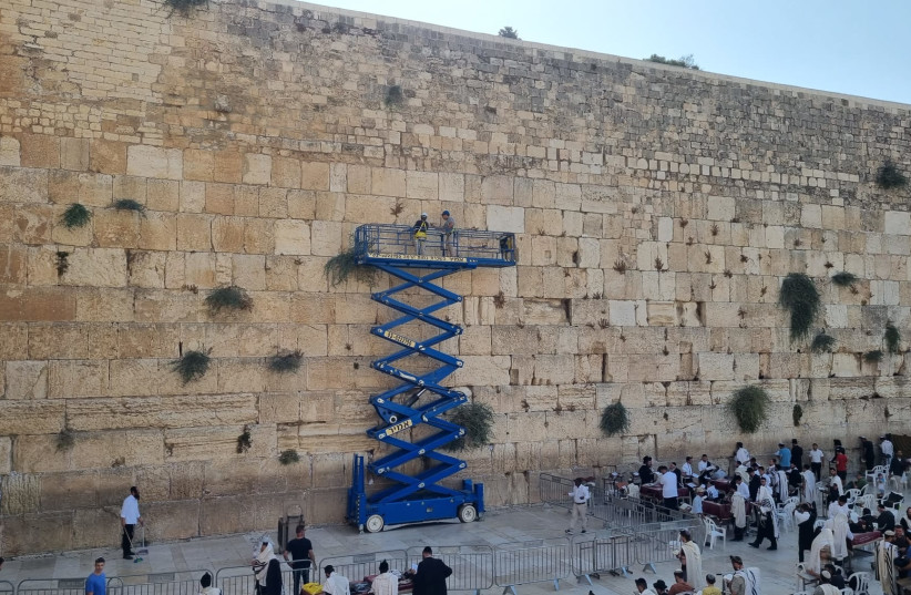  Stones of the Western Wall inspected ahead of High Holidays, August 2022 (credit: WESTERN WALL HERITAGE FOUNDATION)