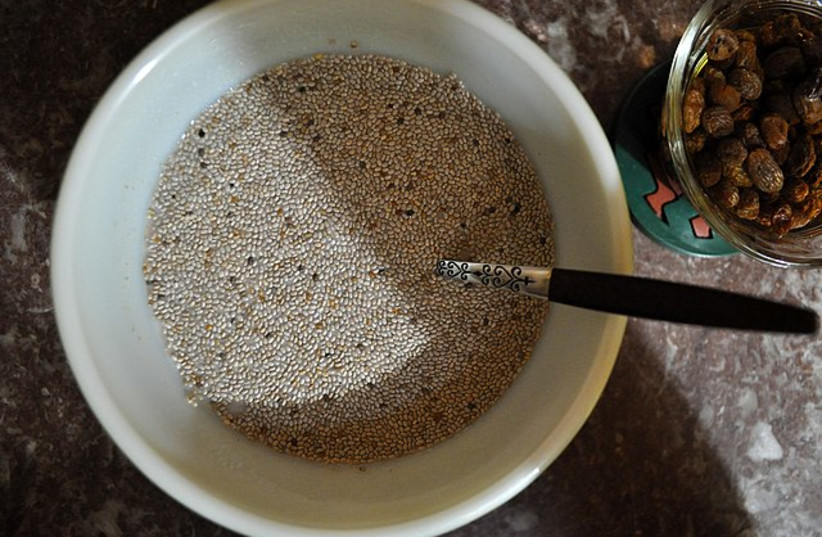  White chia seeds in almond milk. (photo credit: Wikimedia Commons)