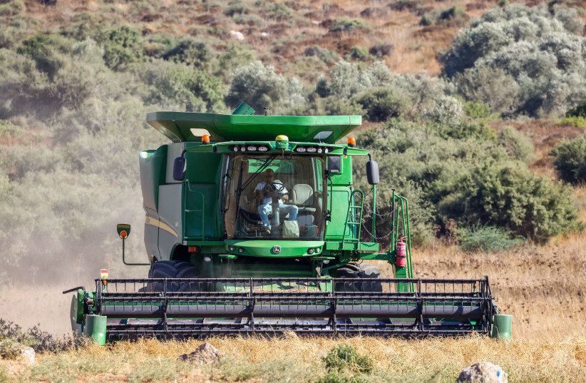  A farmer harvests wheat with a machine in Beit Guvrin, July 17, 2022.  (photo credit: NATI SHOHAT/FLASH90)