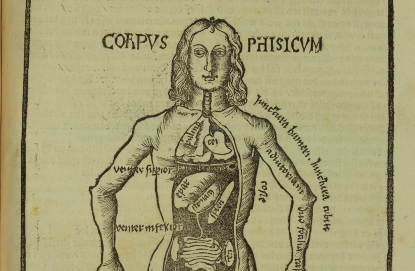 Page 306, Corpus Phisicum, showing the body and the location of the internal organs, from Hieronymus Brunschwig’s Liber de arte Distillandi de Compositis (Strassburg, 1512) (credit: PUBLIC DOMAIN/VIA WIKIMEDIA COMMONS)