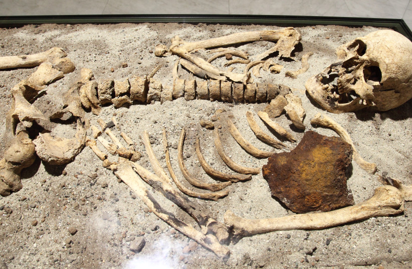 800-year-old skeleton found in Bulgaria stabbed through the chest with an iron rod. (credit: BIN IM GARTEN/CC BY-SA 3.0 (https://creativecommons.org/licenses/by-sa/3.0)/VIA WIKIMEDIA COMMONS)