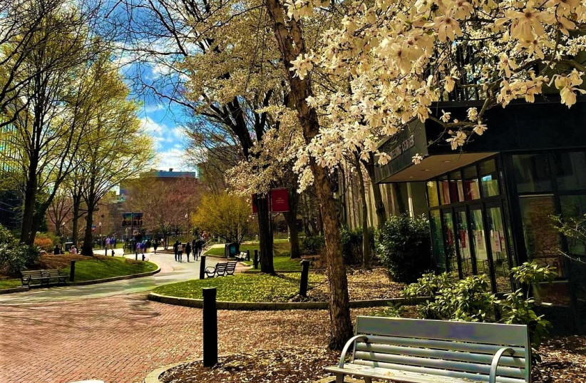 Northeastern University campus in the spring (credit: CARPENTERNORTH/CC BY-SA 4.0 (https://creativecommons.org/licenses/by-sa/4.0)/VIA WIKIMEDIA COMMONS)
