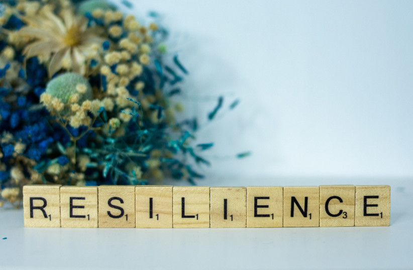  Resilience: Illustrative image.  (photo credit: UNSPLASH/ALEX SHUTE)