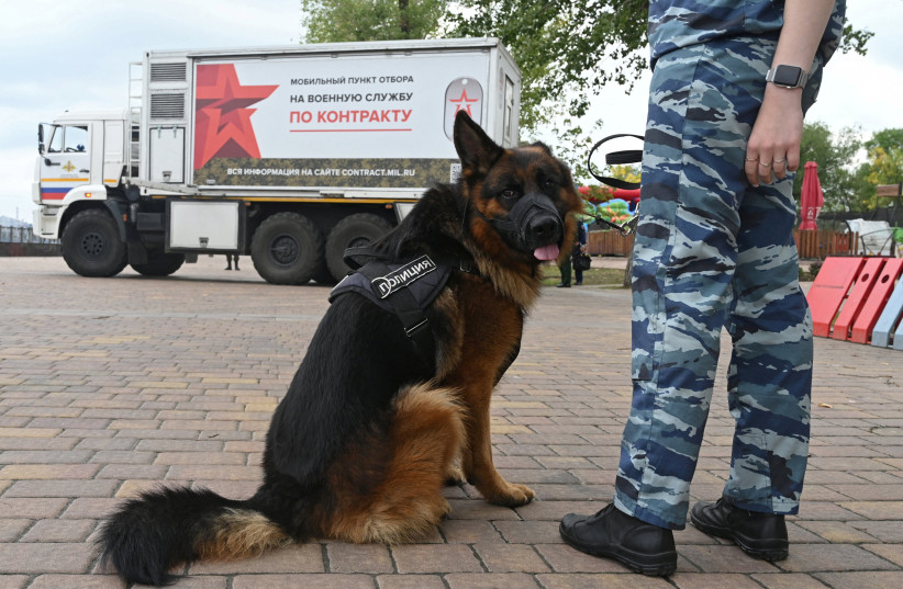 Ukrainian military dogs gain new legal rights as service members - Vimarsana News