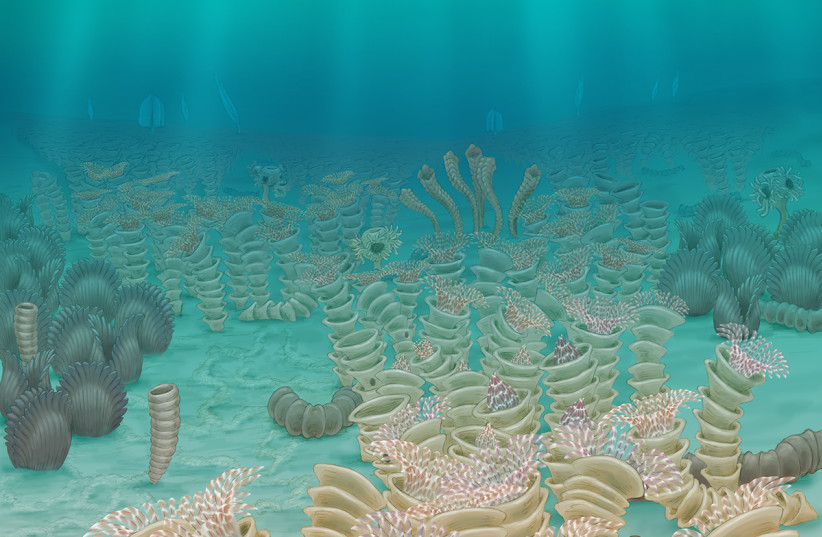 An illustration of the shallow sea- floor ecosystem in the Ediacaran Gaojiashan  biota, the environment in which Protocodium sinense would have lived 541- million-years ago (photo credit: Stacy Turpin Cheavens)