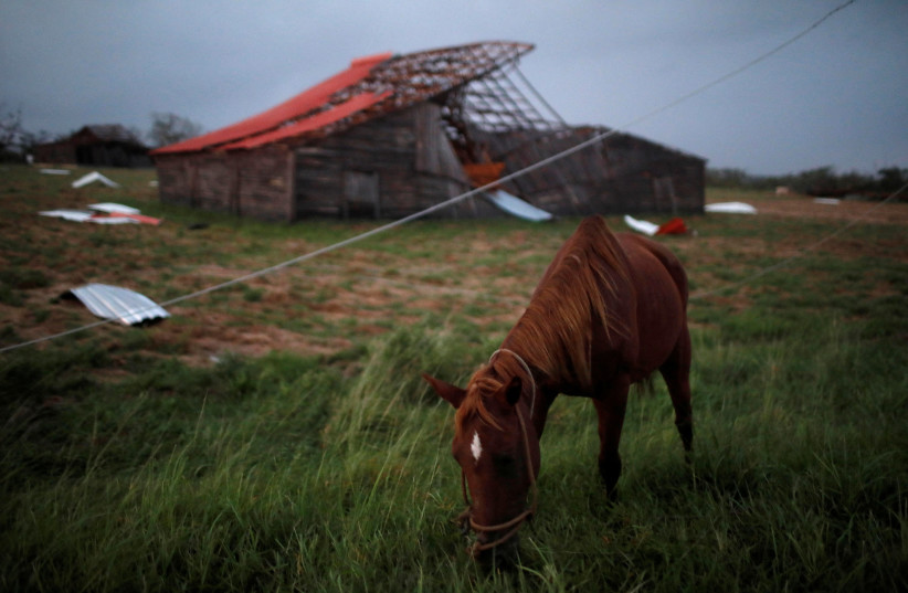  A horse is seen in front of a destroyed house in the aftermath of Hurricane Ian in Puerta de Golpe, Cuba, September 27, 2022.  (credit: ALEXANDRE MENEGHINI/REUTERS)