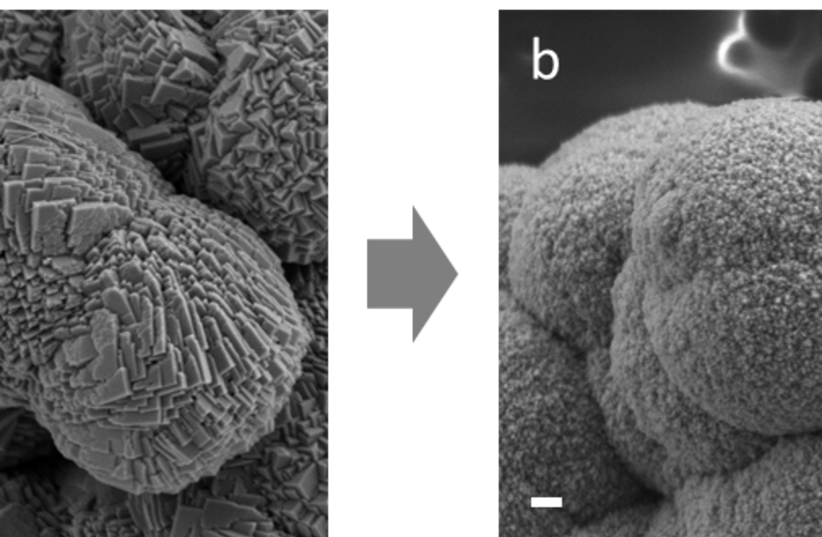 Scanning electron microscope images of manganese carbonate crystals, without (a) amino acids and with (b) amino acids incorporated in the crystal. Scale bar: 200 nanometers. (photo credit: TECHNION-ISRAEL INSTITUTE OF TECHNOLOGY)