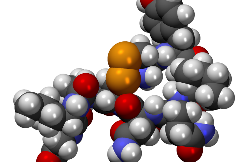 CPK model of the Oxytocin molecule C43H66N12O12S2 (photo credit: MINDZIPER/CC0/VIA WIKIMEDIA COMMONS)