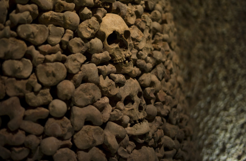 What did this Stone Age woman look like? Skull leads to startling find - Vimarsana News