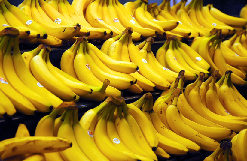 Bananas, illustrative image.  (credit: CREATIVE COMMONS)