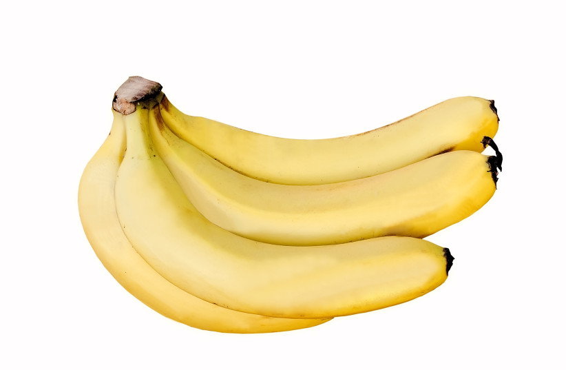  Bananas, illustrative image.  (photo credit: CREATIVE COMMONS)