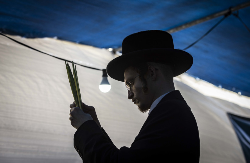  Ultra orthodox Jews shop the four species, for the upcoming Jewish holiday of Sukkot, in the ultra orthodox neighborhood of Meah Shearim, Jerusalem, October 6, 2022. (credit: OLIVIER FITOUSSI/FLASH90)