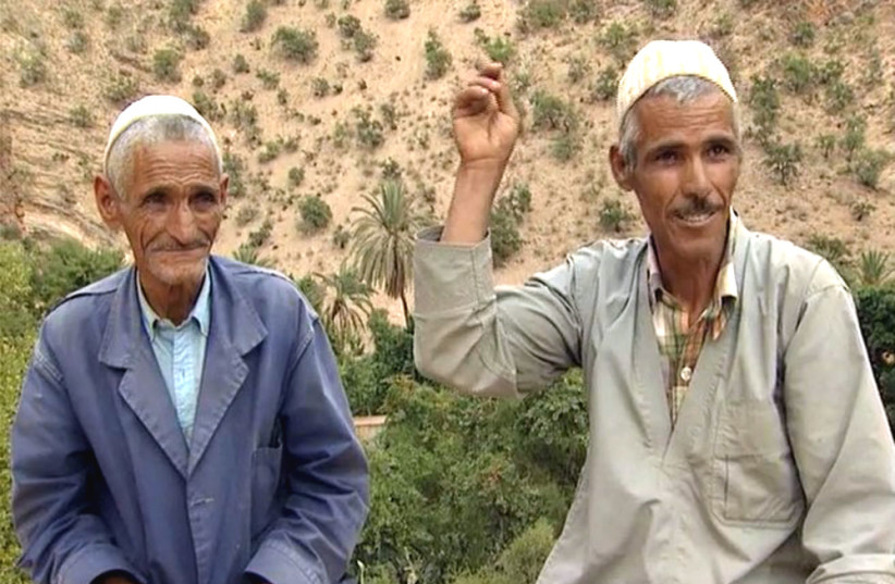  AHMAD BOUHALIE and son, owners of etrog groves in the Souss region, recall Rabbi Yashar Levy’s father Rabbi Yosef Levy transporting etrogim by camel. (credit: Jacky Kadoche)