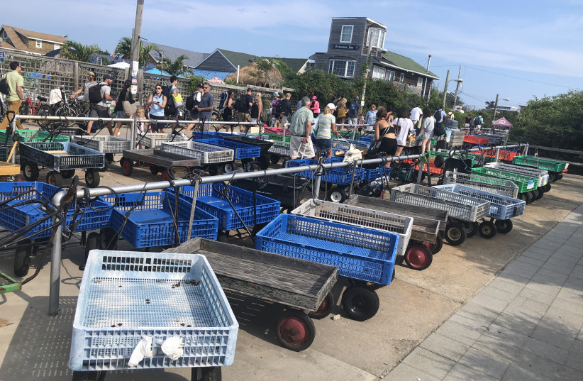  THE FIRE Island market and trolleys. (photo credit: HOWARD BLAS)