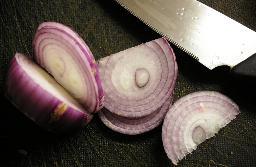 Cut onions emit certain compounds which cause the lacrimal glands in the eyes to become irritated, releasing tears. (photo credit: LALI MASRIERA, CATALUNYA/CC BY 2.0 (https://creativecommons.org/licenses/by/2.0)/VIA WIKIMEDIA)