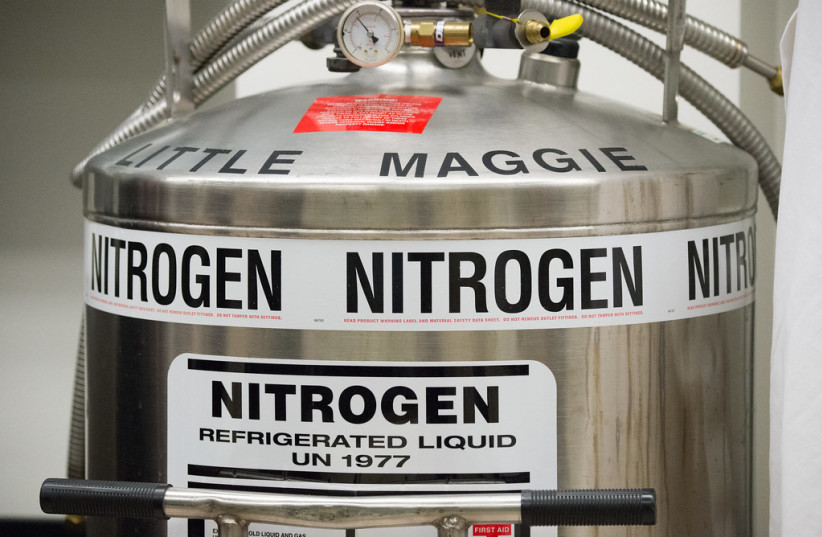  Portable double walled vacuum insulated tanks such as ''Little Maggie'' are used in the laboratory for holding liquid nitrogen for the essential, safe cryogenic freezing process. (credit: FLICKR)