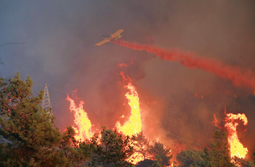  OREN LESHEM: ‘Suddenly it hit me, especially when I saw the burning Carmel.’ (photo credit: Courtesy Oren Leshem)