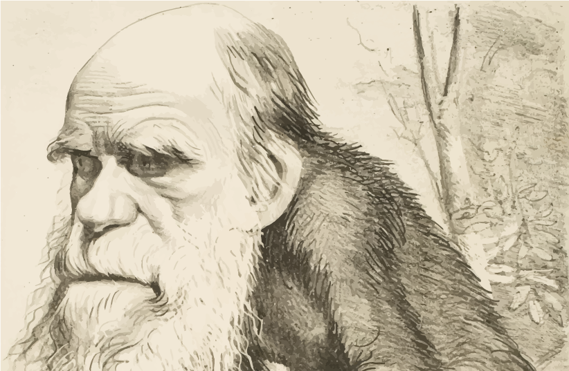  ILLUSTRATION OF Charles Darwin’s head and an ape’s body. (photo credit: Public Domain Vectors)