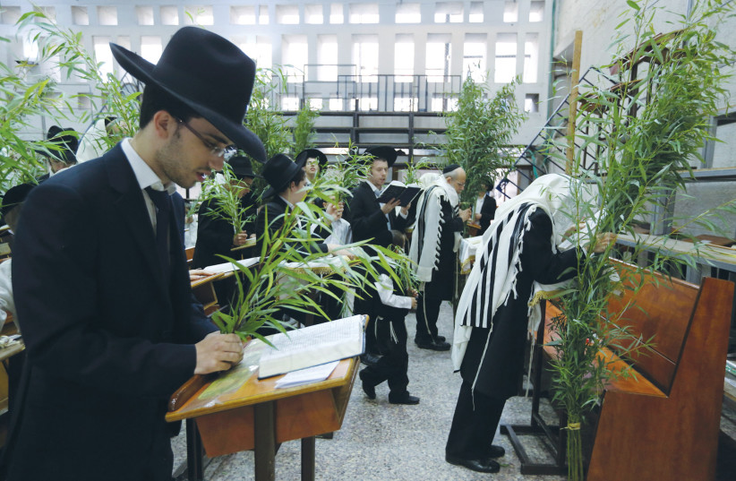  The Hoshana Raba service, with worshipers holding 'aravot,' takes place in the Ponevezh Yeshiva in Bnei Brak (photo credit: YAAKOV NAUMI/FLASH90)
