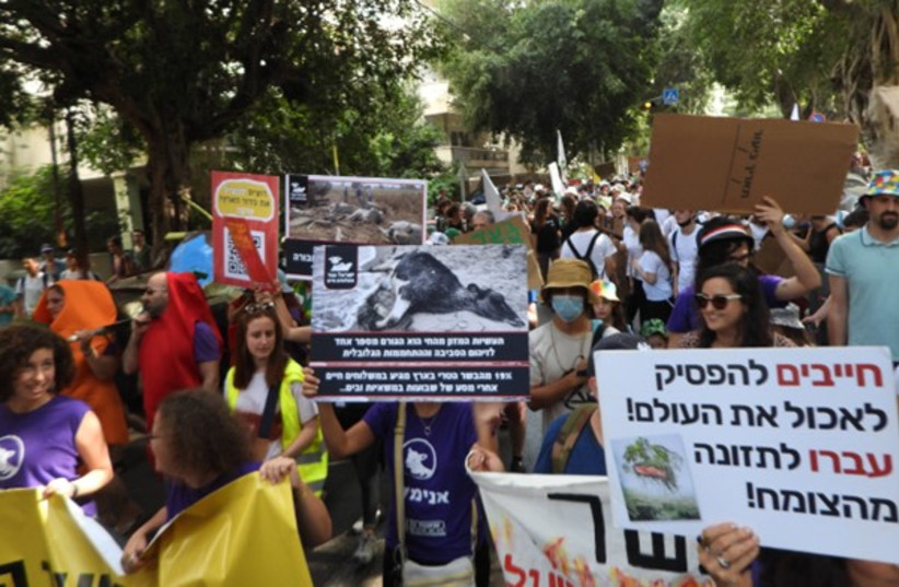  Protest against animal agriculture in Tel Aviv (photo credit: Freedom4Animals)