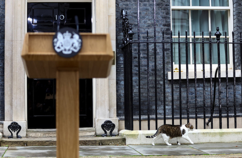  Larry the cat walks outside Number 10 Downing Street on Liz Truss' last day in office as British Prime Minister, in London, Britain, October 25, 2022. (credit: HANNAH MCKAY/ REUTERS)