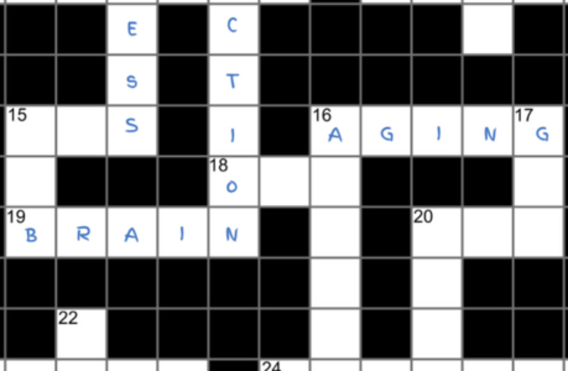  Columbia-Duke study shows crossword puzzlers, as compared to cognitive gamers demonstrated more improvement in engagement, less brain shrinkage. (photo credit: COLUMBIA UNIVERSITY)