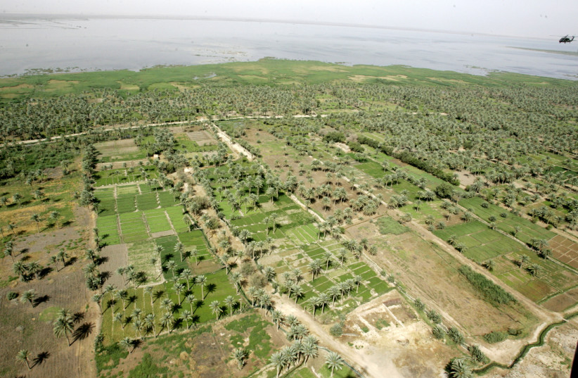  An aerial view of date palm trees by the banks of the Euphrates in the heart of ancient Mesopotamia, near the site of Babylon in Iraq May 12, 2006. (credit: REUTERS)