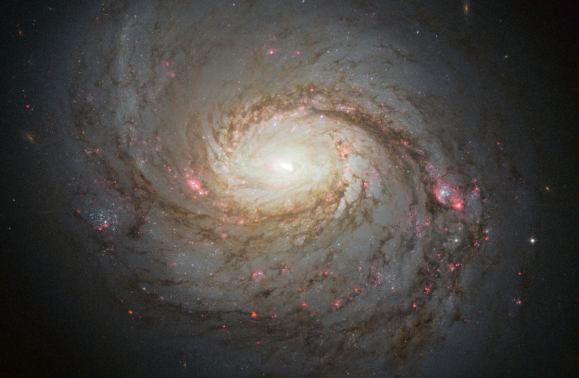  Hubble image of the spiral galaxy NGC 1068. (credit: NASA/ESA/A. van der Hoeven)