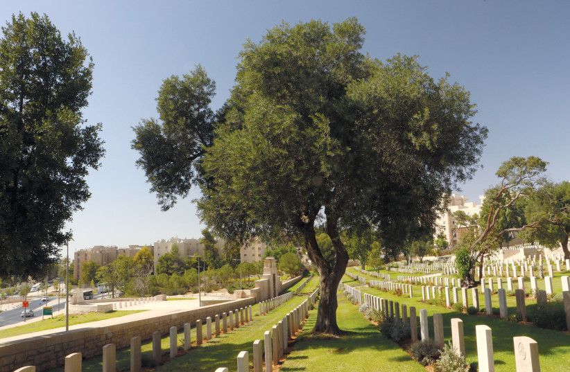  THE COMMONWEALTH War Graves Commission’s Jerusalem War Cemetery, Mount Scopus.  (photo credit: RICHARD SHAVEI-TZION)