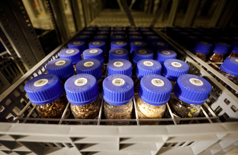  Seeds are stored at the Israel Plant Gene Bank at the Volcani Institute in Rishon LeZion, Israel November 3, 2022. (credit: AMIR COHEN/REUTERS)