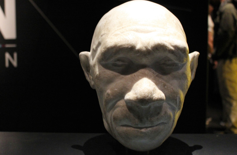  Reconstruction of what early human ancestor Homo Heidelbergensis may have looked like. (credit: Wikimedia Commons)