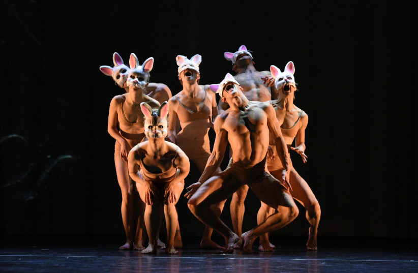  SCENES FROM the Momix presentation of ‘Alice.’ (credit: Quinn Pendleton/Equilibre Monaco)