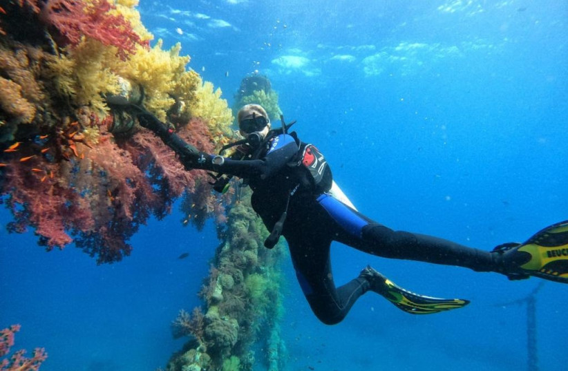 Plastic additives harm the sea and corals' reproductive processes - TAU - Vimarsana News