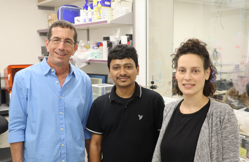 Female locust could be model for advancing human regenerative medicine - Vimarsana News